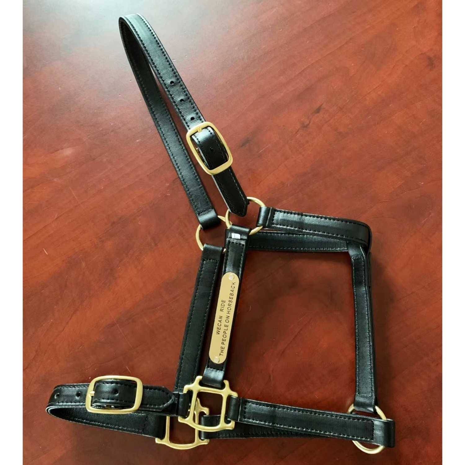 Horse head, full-blown fittings, paint skin superb