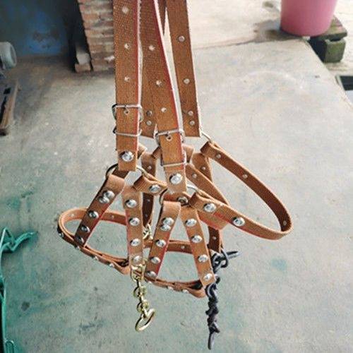 Tie donkey horse mule artifact cage dragon set with chewing bolt, horses, horses, cow tope, saddle cushion tuning