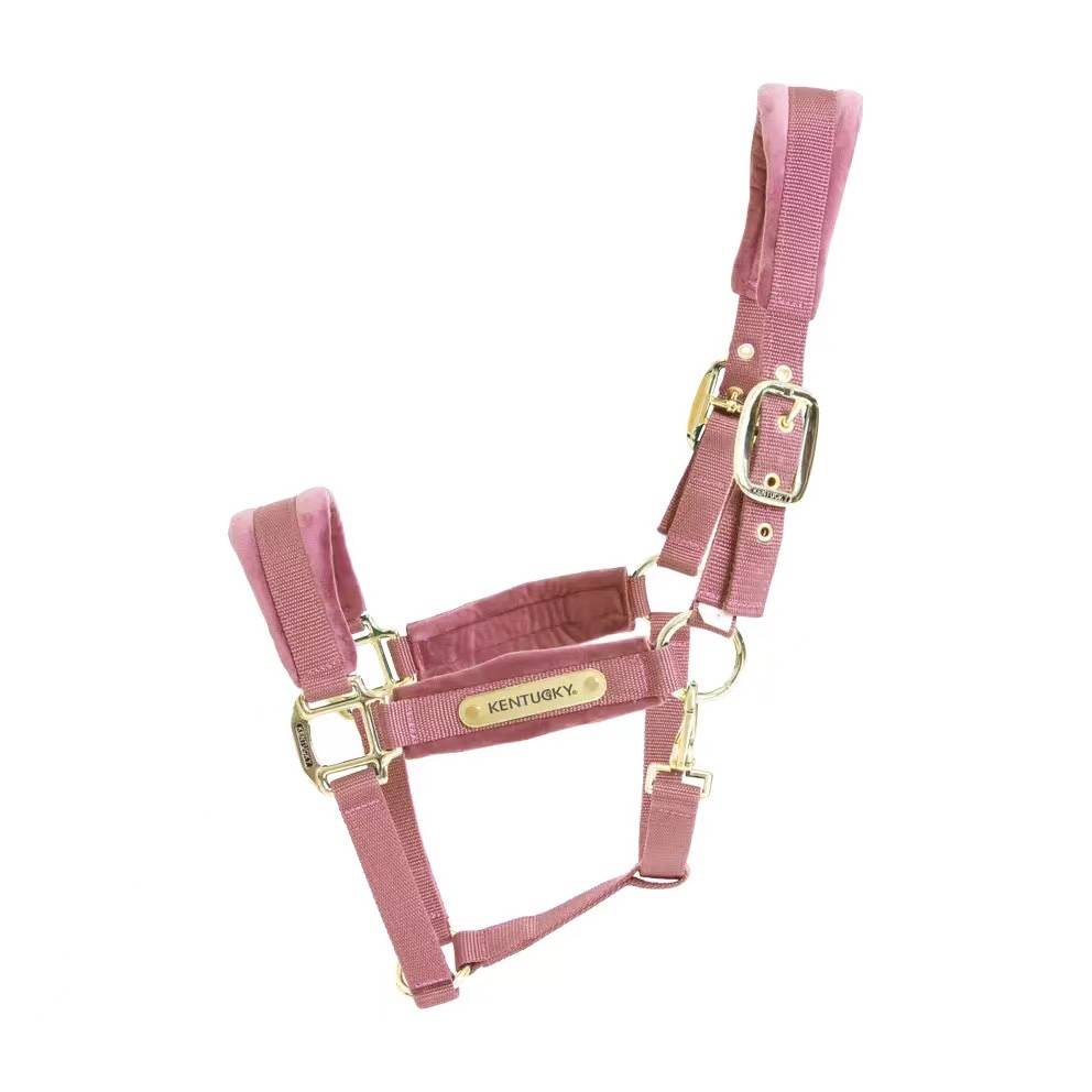 Kentucky vevevet equestrian cage