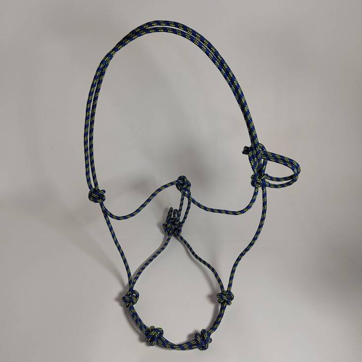 American tuning horse leader western tunnel 6mm hard tuning cage