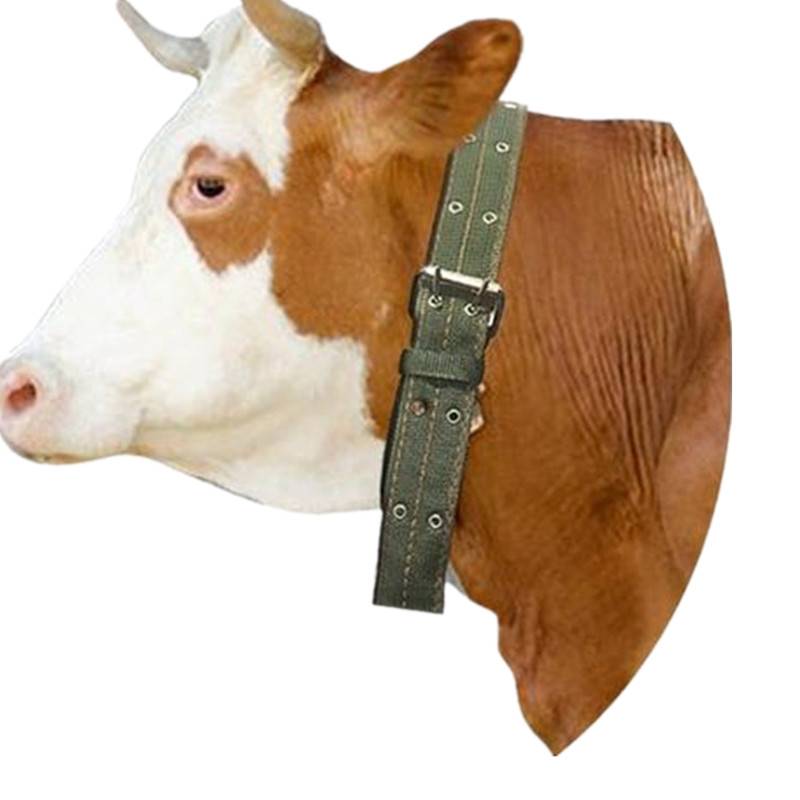 Blood -neck cage, figurine, tap, cow nose, animal husbandry breeding special rope bolt belt, lengthened and thickened