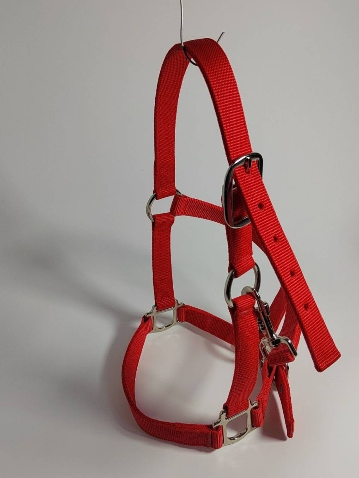 Tie donkey horse mule artifact cage dragon set with chewing bolt, horses, horses, cow tope, saddle cushion tuning