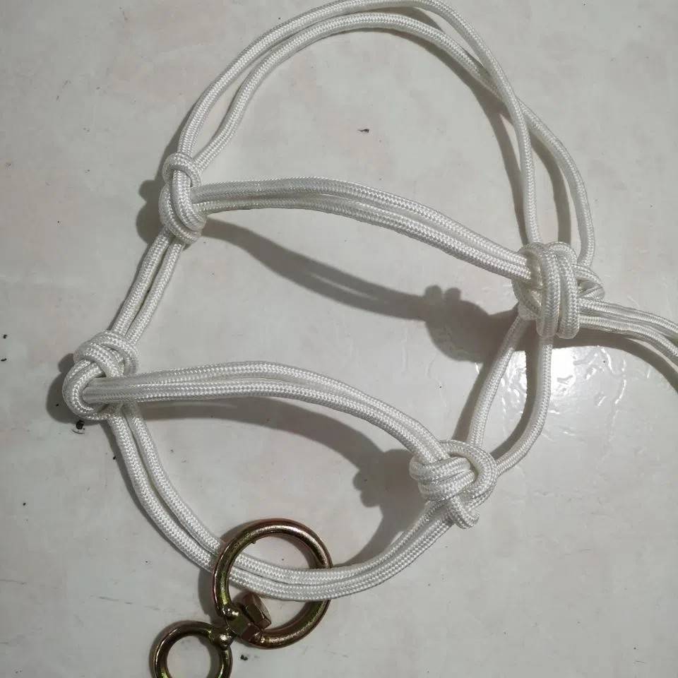 Mavericks dragon head calf horses horses hand -made horses donkeys, Simple Set Bull Rope Special Tibetan