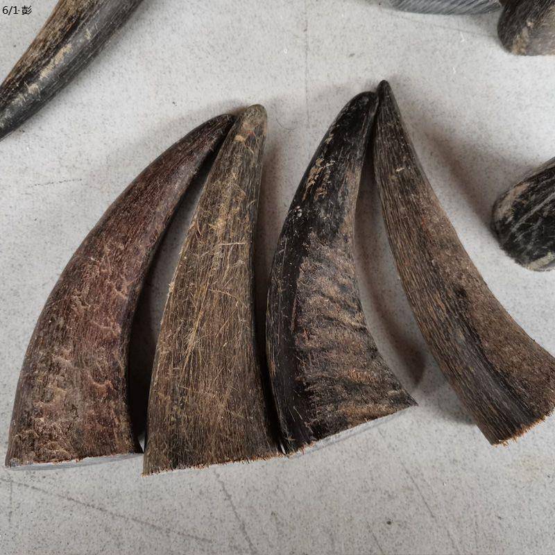 Full -hearted cow horn black water -horn raw material knife handle DIY hand handle cigarette holder fingers Buddha bead carving material