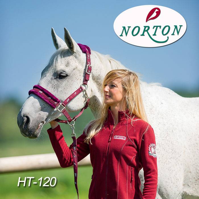 France imported norton pinch embroidery horses leading horses and horses, horses, horses, horses horses house supplies