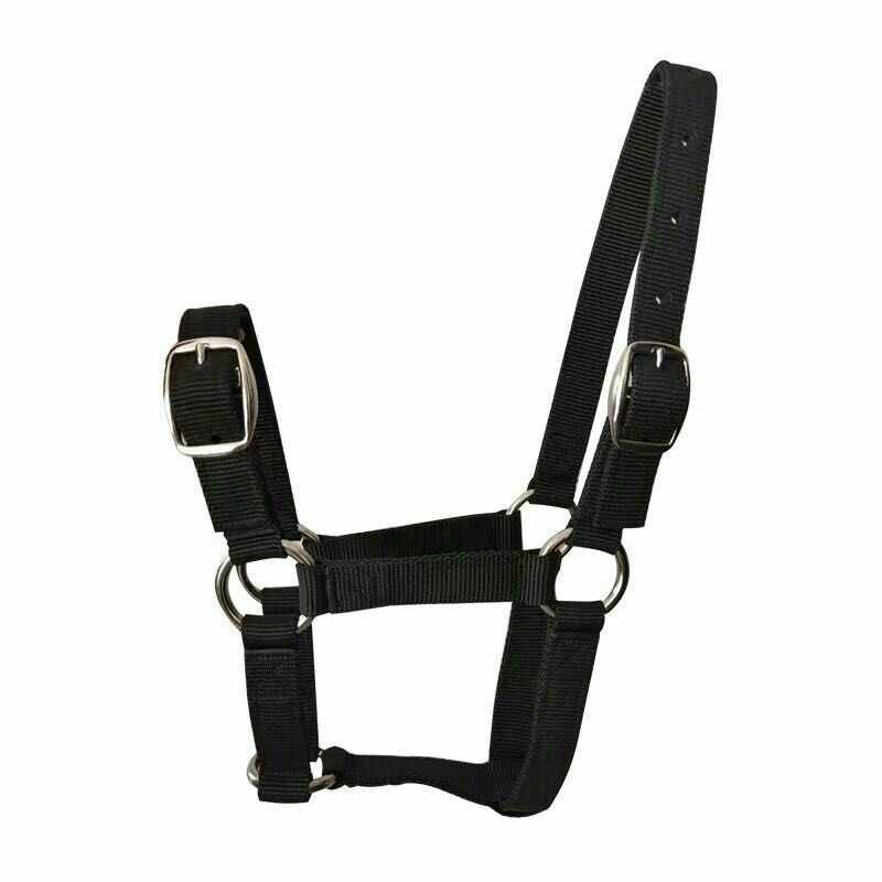 Rui Rui Horse Horse Horse Horse Horse Raomers R Ma Paida Model Tuner Target Equestnically Horse Cage Set