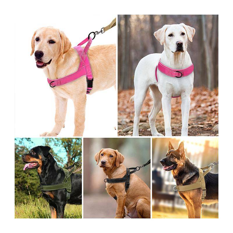 Army Dog traction rope large dog dog chest strap vest collar collar horse dog, golden Maode pastoral pasta, pasta ring walking dog rope