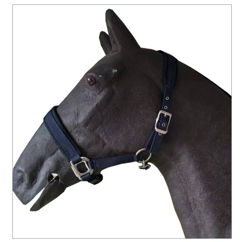Factory direct sales thickened horse cage head Malong set silver metal metal parts beautiful and atmospheric horse leader quality assurance