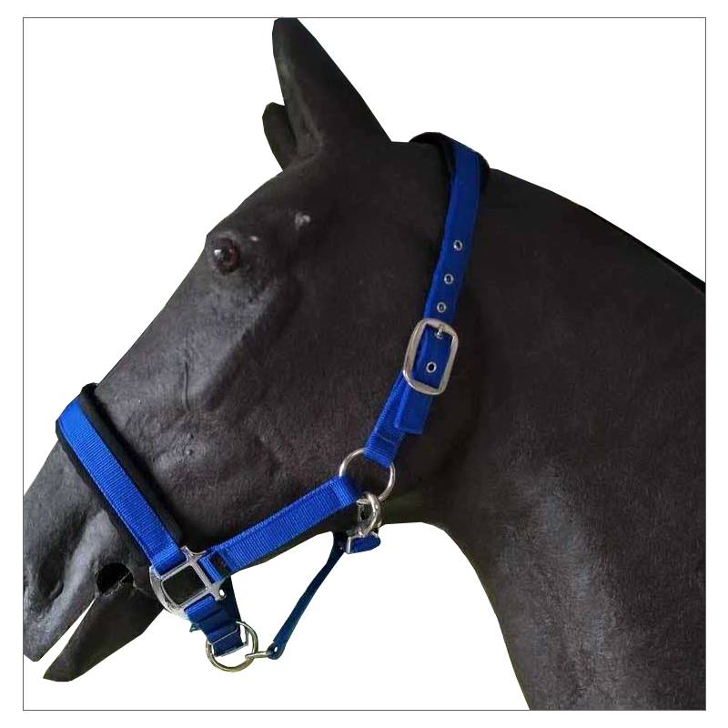 Factory direct sales thickened horse cage head Malong set silver metal metal parts beautiful and atmospheric horse leader quality assurance