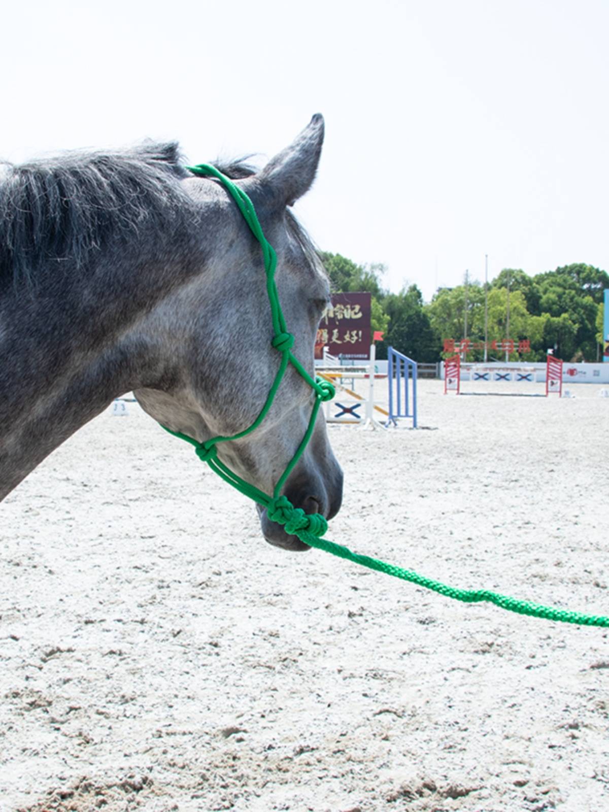Epona woven rope horses, horses, horses, horses and horses horses horses, equestrian sports