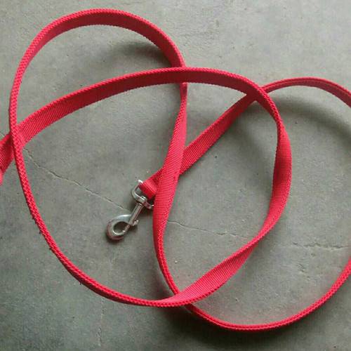 6 -meter horses -horseprophotia horses and horses ropes to pull horse rope High -intensity horse horses and horses and tame horses tame nylon ropes