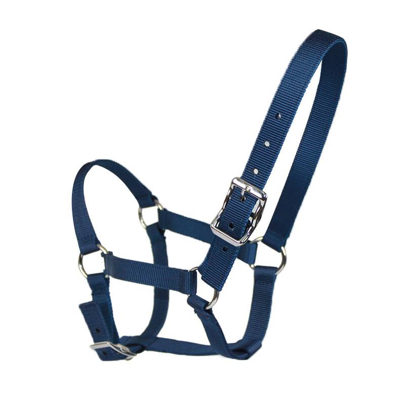 The horse, the horse, the horse, the rope, the horse, the metal hook
