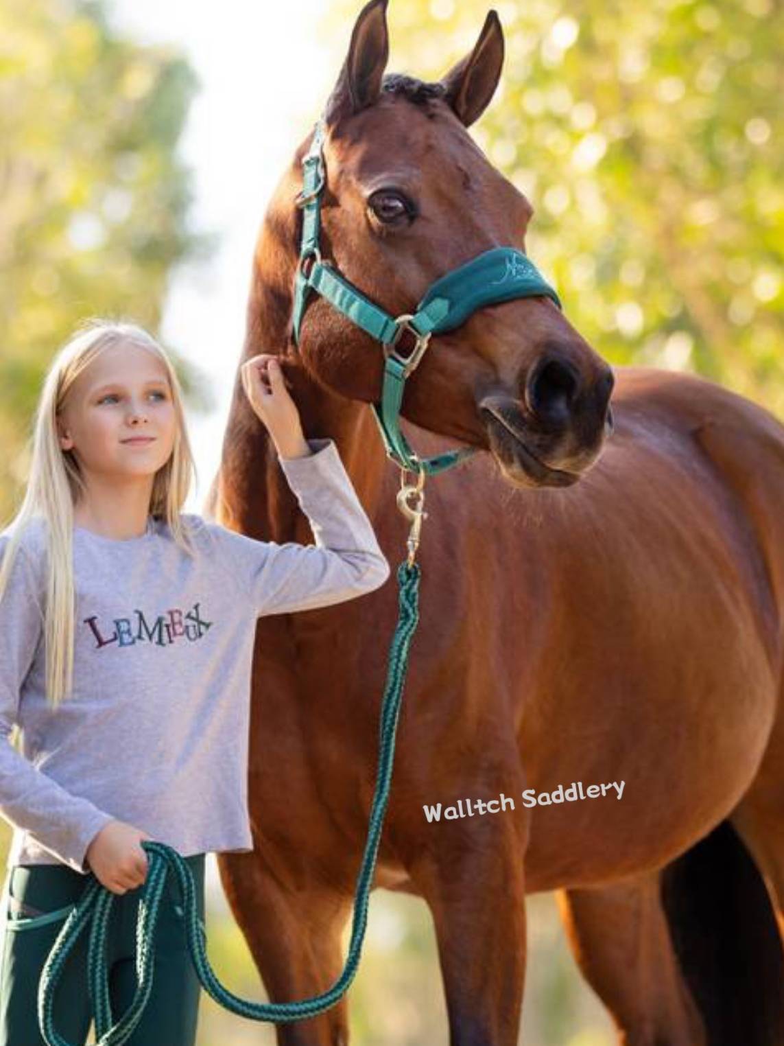 British imported Lemieux nylon woven belt pony little horses mini horses horses horses horses horses horses