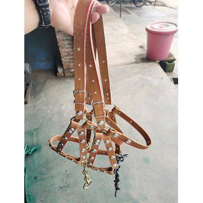Selected donkey horses cage horse cage sets with chewing reins full set of horseshto horsettels, tuning horses