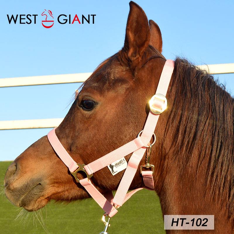 High -quality nylon horse cage head horses rope set economy affordable horse horses