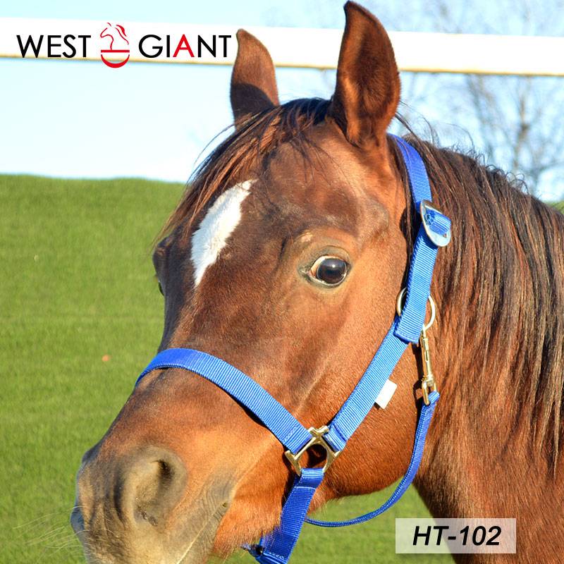High -quality nylon horse cage head horses rope set economy affordable horse horses