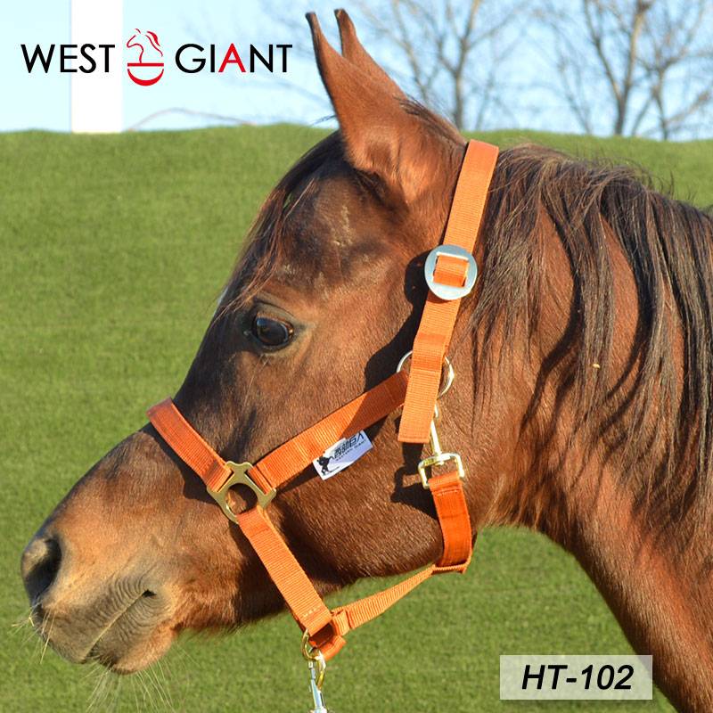 High -quality nylon horse cage head horses rope set economy affordable horse horses