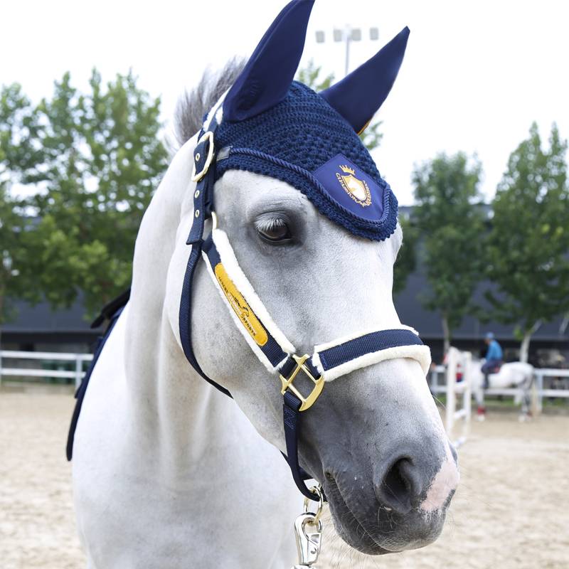 Cavassion light luxury horses equipped with horses and hooded ear hoods, leggings, wool seat cushion cushion cushion