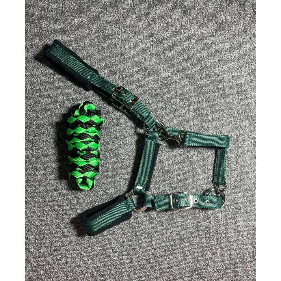 Little horses ink green nylon webbing, pony S/M/L/XL code horses/horses horses horses horses horses
