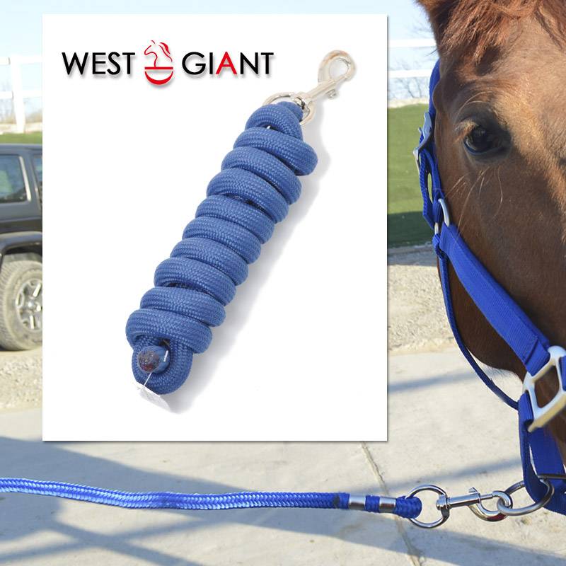 High -quality PP high -end Binglun silk horses and horses traction horses horses tied horse rope horses