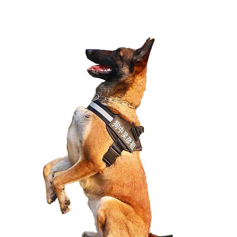 Dog traction rope vest type walking dog rope chain K9 horse Germany Demu medium large dog gold hair chest strap telescopic rope