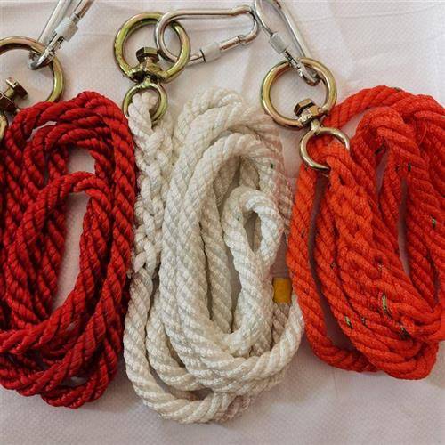 Bull and Horse reins rope beef horses horses rope horses, wear, wear, wear, waterproof and waterproof, support custom cotton nylon manufacturers