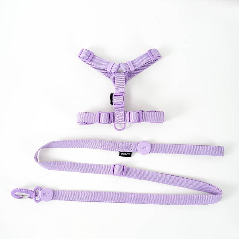 The Korean cat and dog pet Macalon H collar, with a jackal rope to walk the dog's collar