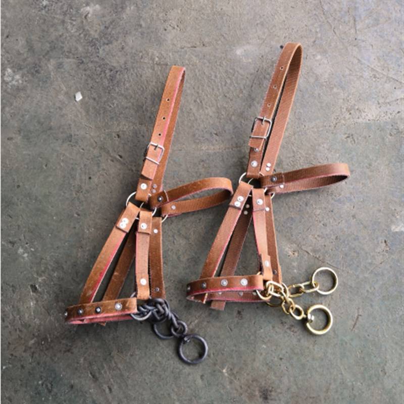 a horse with a chewing t-maroon and a horse with a horse