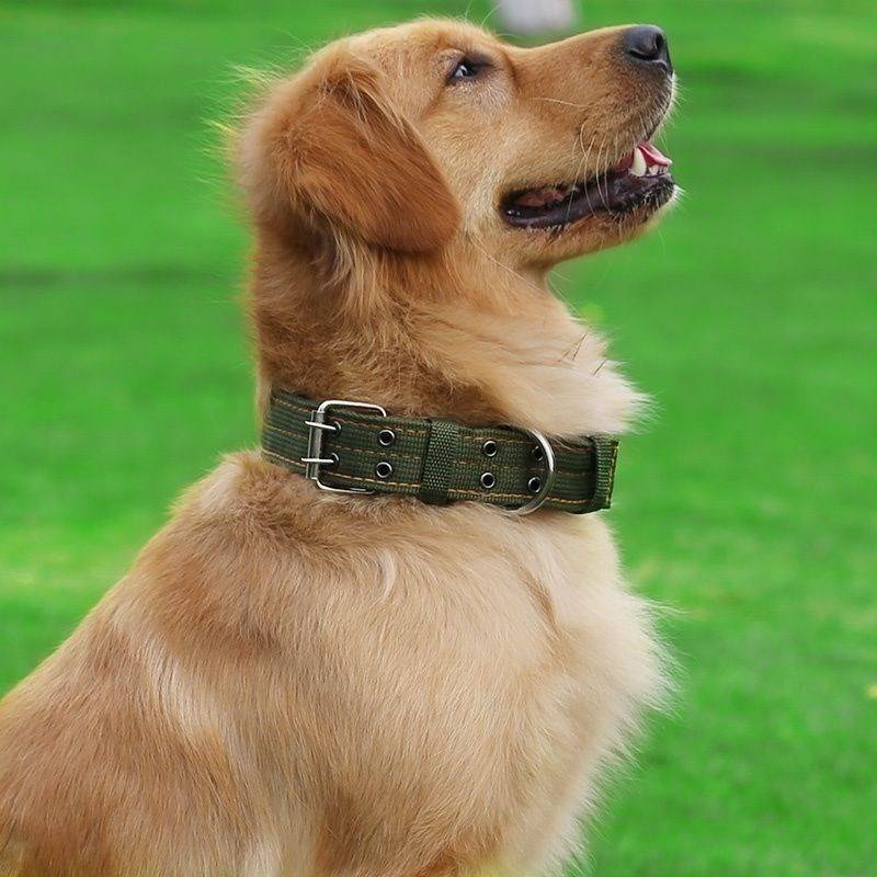 Large dog tactical dog collar traction rope big dog neck circle medium -sized dogs and horse dogs golden -haired shepherd neck dog neck cover