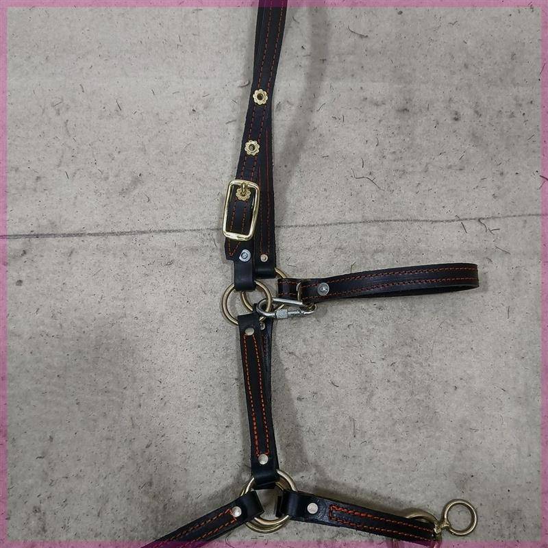 2024 new pure cowhide large horse leader pure handmade