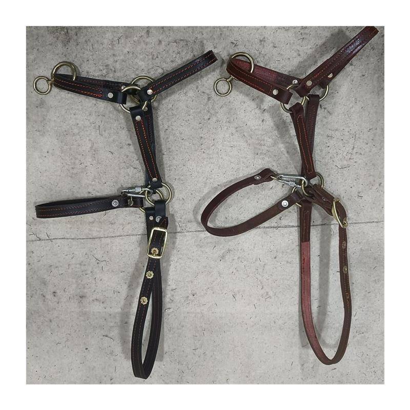 2024 new pure cowhide large horse leader pure handmade