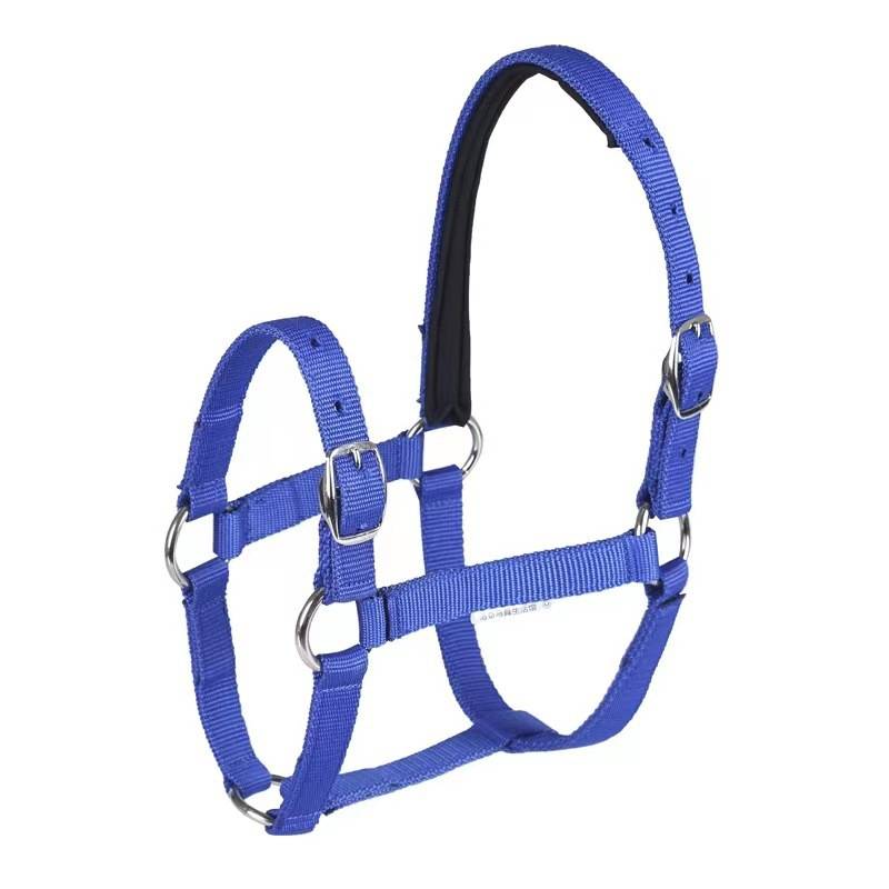 JR woven belt anti -grinding horse faucet lens horse cage equestrian horseshuto equipment Walking horse walk and traction rope durable