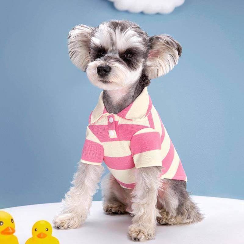 Pet sunscreen summer autumn dog clothes traction rope summer breathable printed spring and summer short -purpose fashion