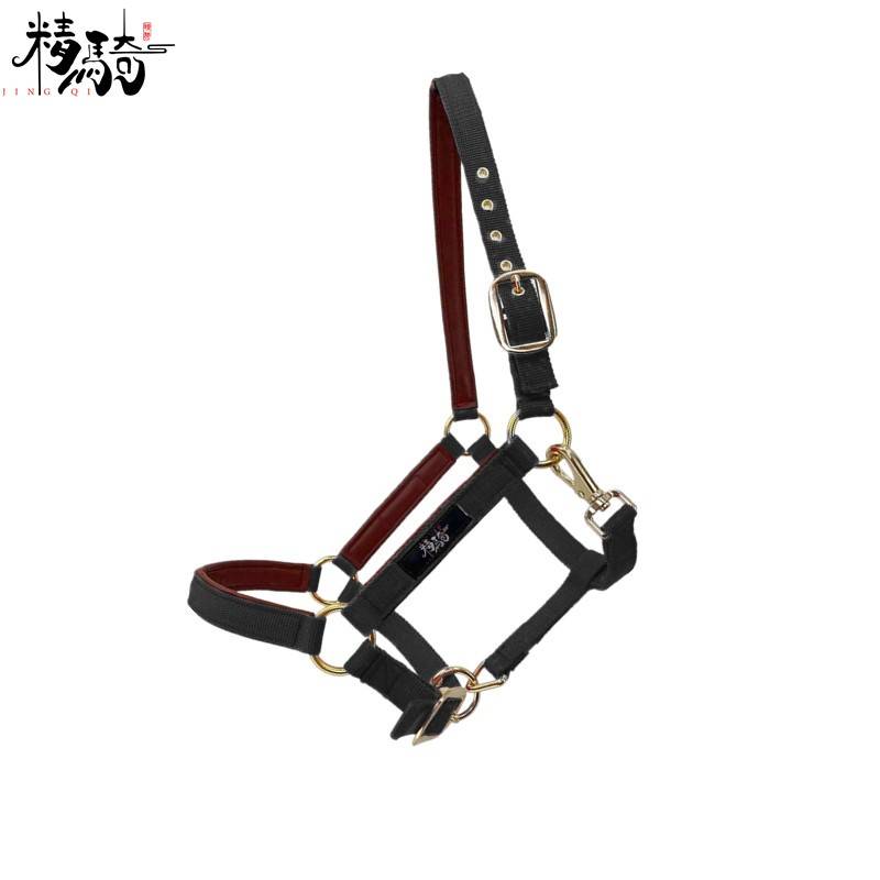 Valuable Dwarf Horse Riding new horse horses chewed accessories, horses, horses tie PVC horse cage head supplies