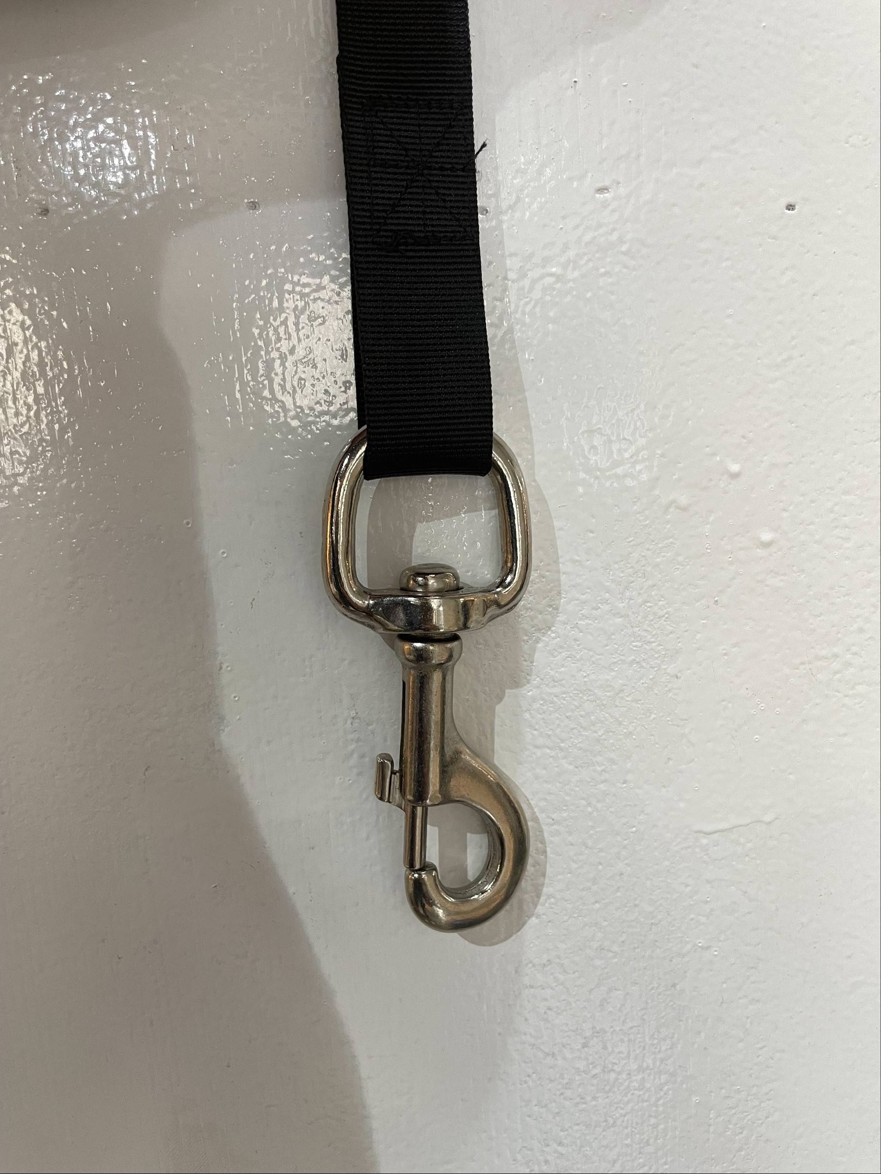 The horse field teaches the horse to play the ring and the horse to the horse to the horse to the horse to the horse to the horse to the rope to the head