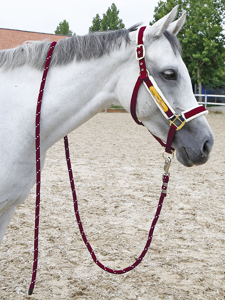 Cavassion Horse Rope Equestrian Horse Horse Products Cavaliers Rider Tuning 8218098
