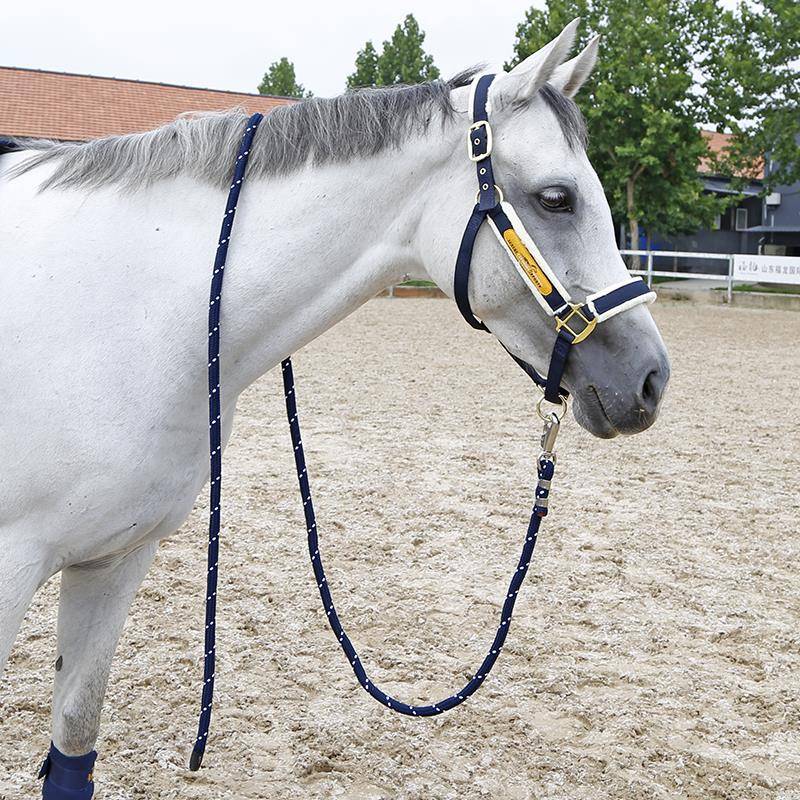 Two -colored Horse Rope 3M Riding Knights Riding Horse Equipment Rock Horse 8218098