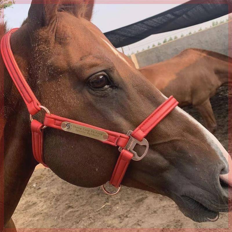 2024 Xinpin Menzi Malaysia Follower Horse Large Horse Horse Holder Super Fiber Skin Material