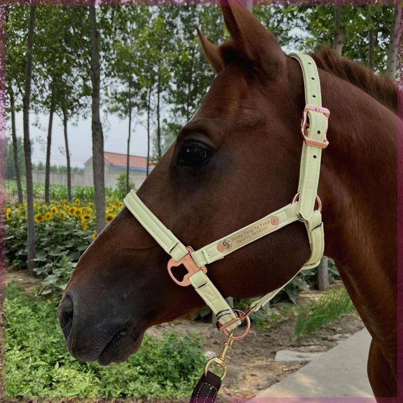 2024 Xinpin Menzi Malaysia Follower Horse Large Horse Horse Holder Super Fiber Skin Material