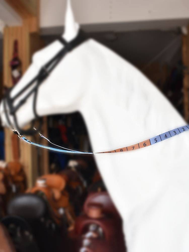 Child scale reins numeral scales in teaching reins.