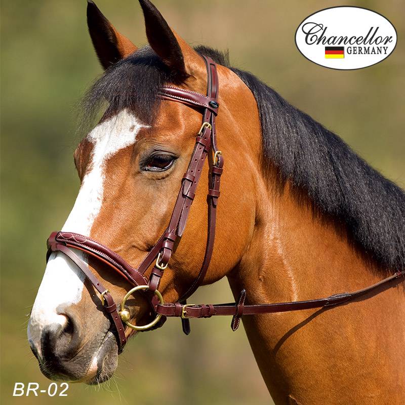 British saddling water racecar training obstacle member cowhide horse leader west