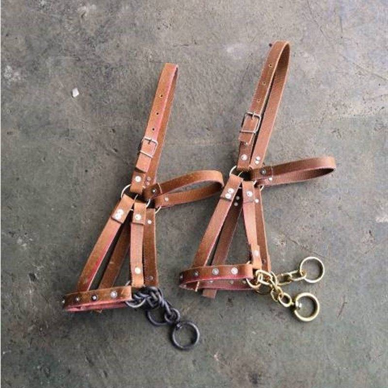 The horse chews a donkey, and the horse's cages are full of their own ropes