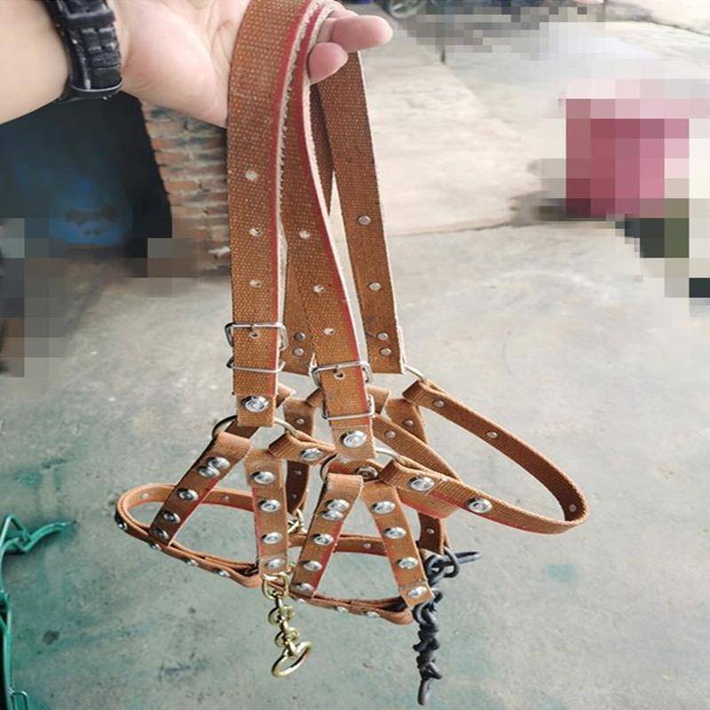 Horse Horse Horse Horse Horse Equipment Equestrian Cage Set with Chewed Horse Mouth Together Live Rope Mavericks Moisturizer Training