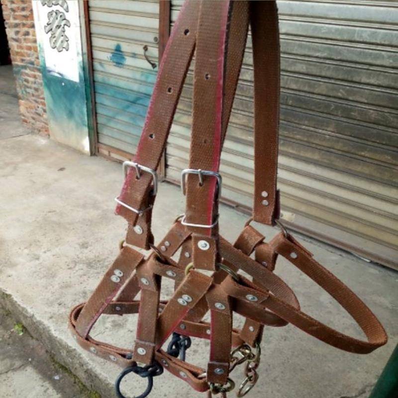 Horse Horse Horse Horse Horse Equipment Equestrian Cage Set with Chewed Horse Mouth Together Live Rope Mavericks Moisturizer Training