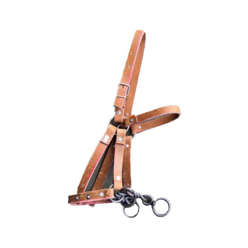 Horse Horse Horse Horse Horse Equipment Equestrian Cage Set with Chewed Horse Mouth Together Live Rope Mavericks Moisturizer Training