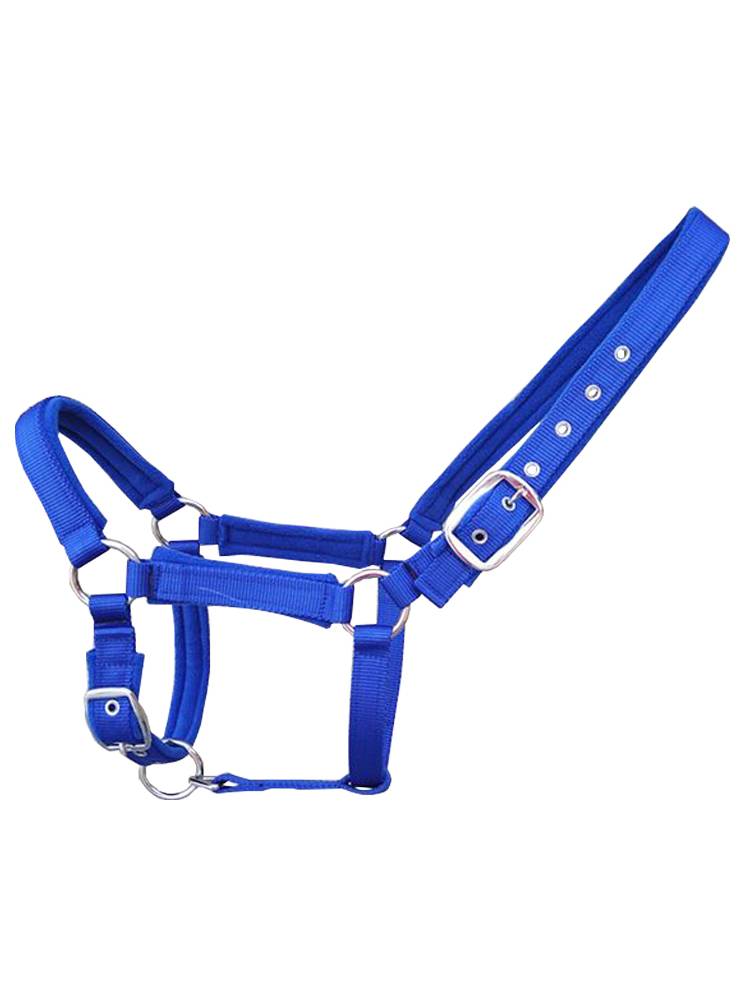 ♪ Horse tweezers with their heads, red for horses, blue for horses ♪