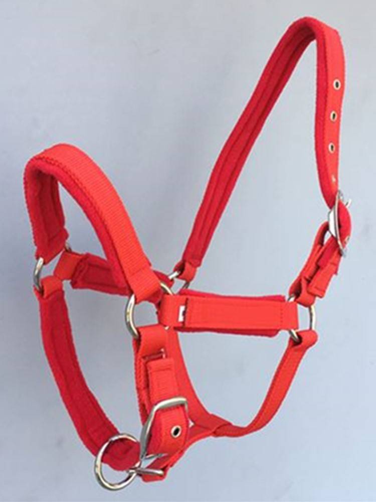 ♪ Horse tweezers with their heads, red for horses, blue for horses ♪