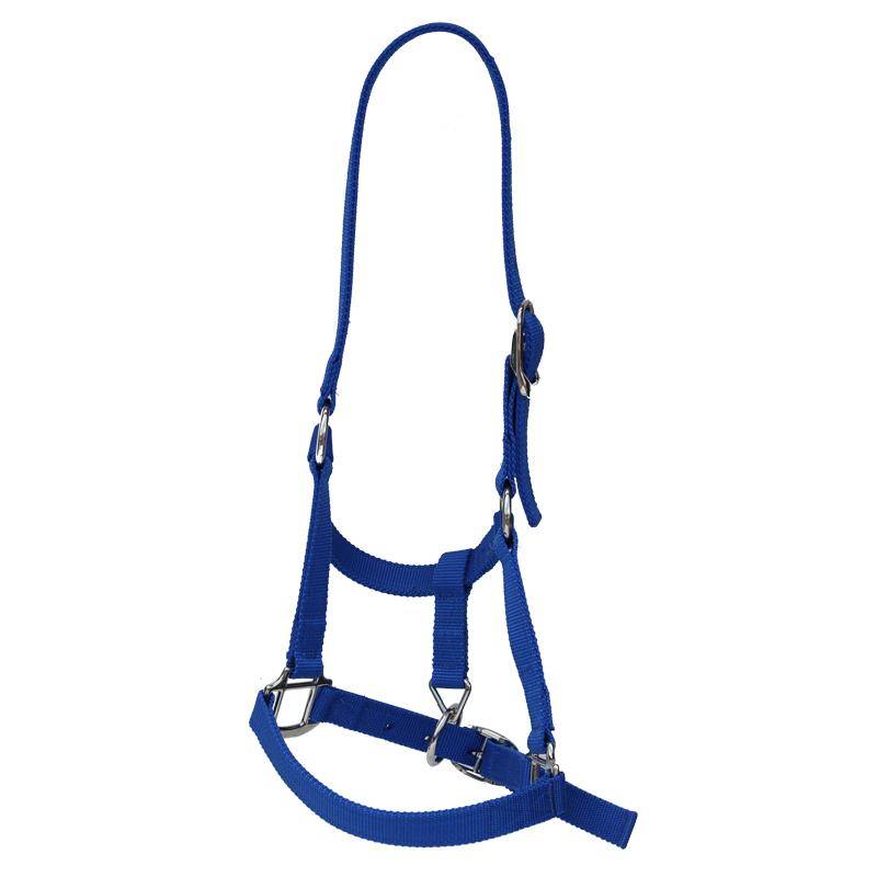  horse cage equestrian horses and horses, thickened hardware buckle horses, unsatisfactory horses can be returned