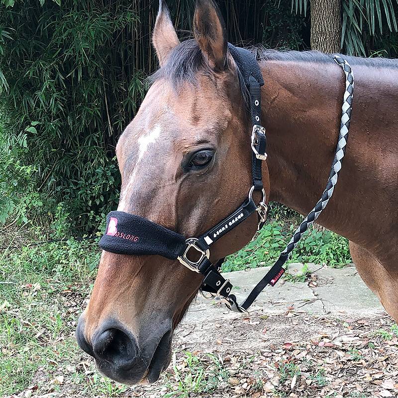 Glutter horses and puffy horse cages are strong/wear -resistant horseson sleeve adjustable horseshouse (without horsepower rope)