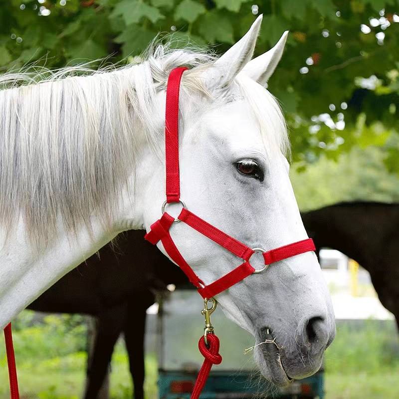 Cross-border graft-resistant horse cages with horse-line and horse-carriage supplies
